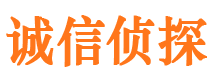 滨海新区市调查公司